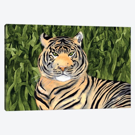 Jungle Cat II Canvas Print #TKH139} by Terri Kelleher Canvas Artwork