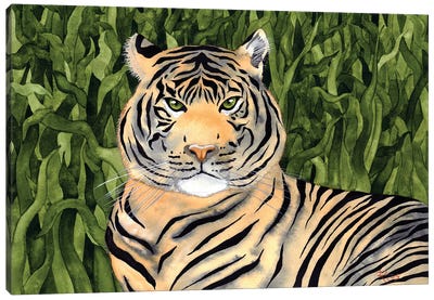 Jungle Cat II Canvas Art Print - Terri Kelleher