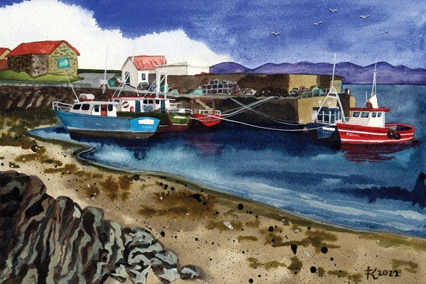 Coastal Villages & Towns: Inishturk, Mayo by Terri Kelleher