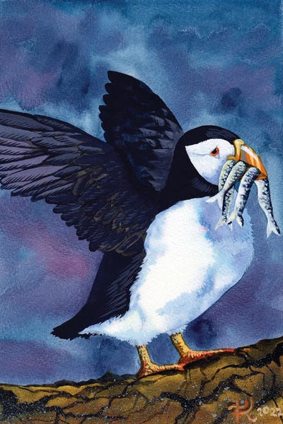 Puffins: I Brought Take Away by Terri Kelleher