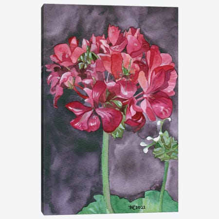 Garden Variety Canvas Print #TKH176} by Terri Kelleher Art Print