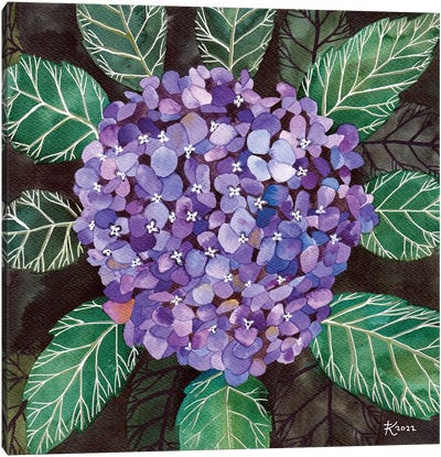 Hydrangea Canvas Art Print - Terri Kelleher