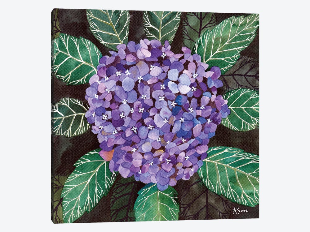 Hydrangea by Terri Kelleher 1-piece Canvas Print