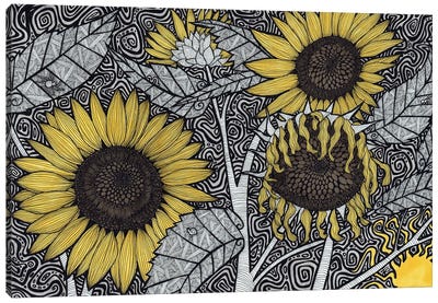 The Fading Summer Sun Canvas Art Print - Terri Kelleher