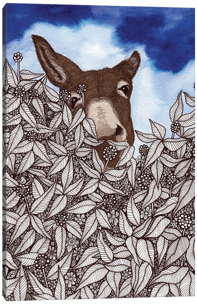 Peeping Don Canvas Art Print - Donkey Art