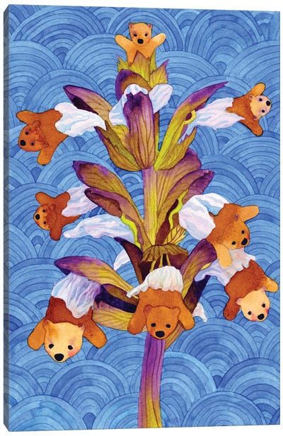 Bear's Breeches (Acanthus) Canvas Art Print - Brown Bear Art