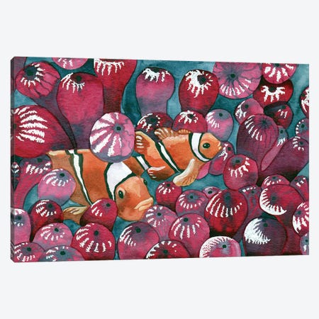 Clown Fish In Anemone Canvas Print #TKH194} by Terri Kelleher Canvas Art Print