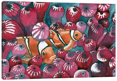Clown Fish In Anemone Canvas Art Print - Clown Fish Art