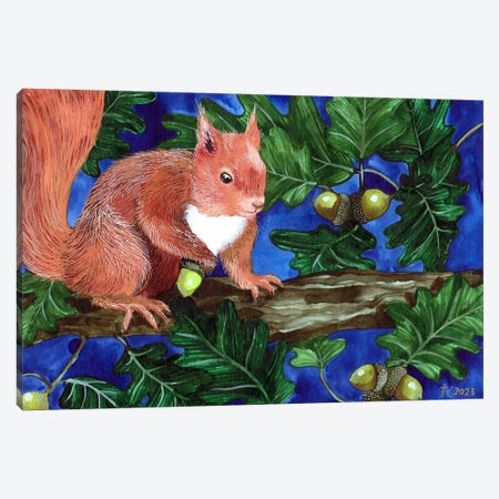 Red Squirrel Canvas Print #TKH228} by Terri Kelleher Canvas Artwork