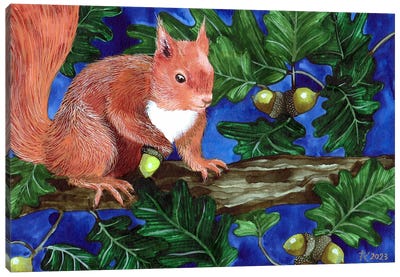 Red Squirrel Canvas Art Print - Terri Kelleher