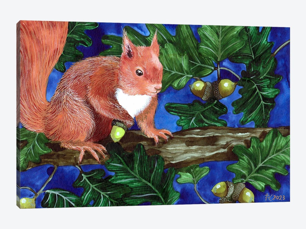 Red Squirrel by Terri Kelleher 1-piece Canvas Print