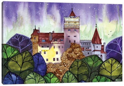 Bran Castle With Aurora Canvas Art Print - Castle & Palace Art
