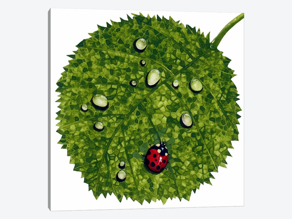 Ladybug Leaf by Terri Kelleher 1-piece Canvas Print