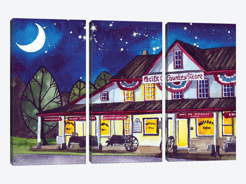 Cecil's Country Store by Terri Kelleher 3-piece Canvas Art Print
