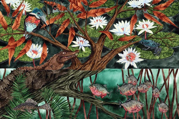 Water Lilies: Freshwater Biome by Terri Kelleher