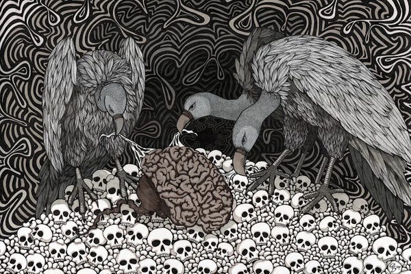 Vultures: Gaslighting by Terri Kelleher