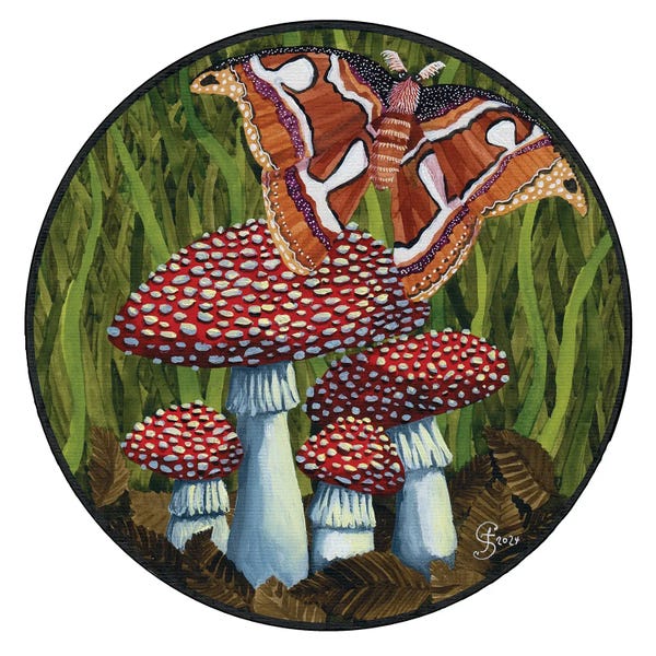 Mushrooms: Atlas Moth And Amanita by Terri Kelleher
