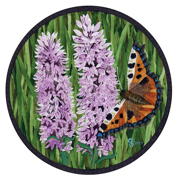 Butterflies and Flowers: Burren Flowers And Butterfly by Terri Kelleher