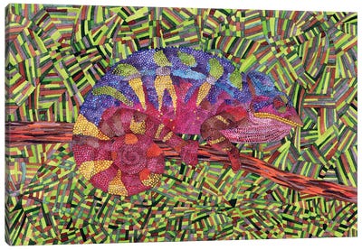 Chameleon Patchwork Canvas Art Print - Terri Kelleher