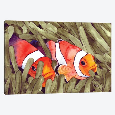 Clown Fish Canvas Print #TKH33} by Terri Kelleher Canvas Art Print