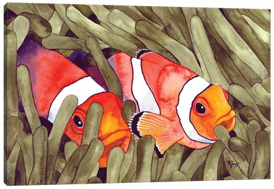 Clown Fish Canvas Art Print - Terri Kelleher