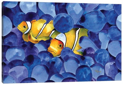 Clown Fish II Canvas Art Print - Terri Kelleher