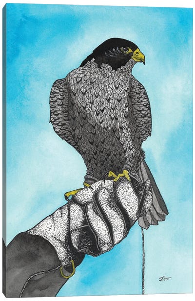 Falconry Canvas Art Print - Falcon Art