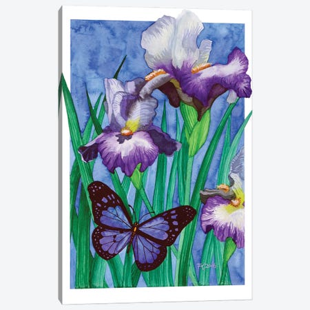 Iris Butterfly Canvas Print #TKH62} by Terri Kelleher Canvas Artwork