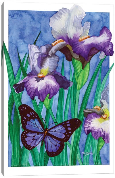 Iris Butterfly Canvas Art Print - Terri Kelleher