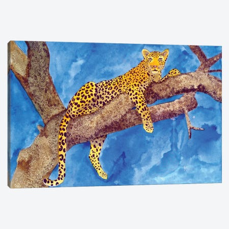 Jungle Cat III Canvas Print #TKH63} by Terri Kelleher Canvas Art