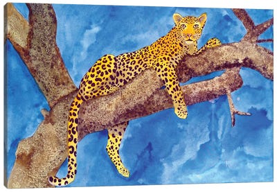 Jungle Cat III Canvas Art Print - Terri Kelleher