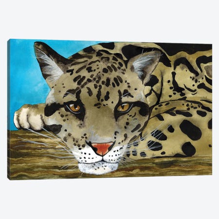 Jungle Cat IV Canvas Print #TKH64} by Terri Kelleher Canvas Print