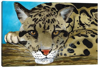 Jungle Cat IV Canvas Art Print - Terri Kelleher