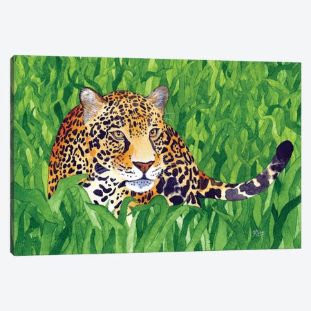 Jungle Cat V Canvas Print #TKH65} by Terri Kelleher Canvas Print