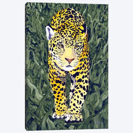 Jungle Cat VII Canvas Print #TKH66} by Terri Kelleher Canvas Print