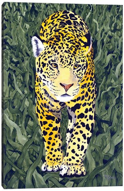 Jungle Cat VII Canvas Art Print - Jaguar Art