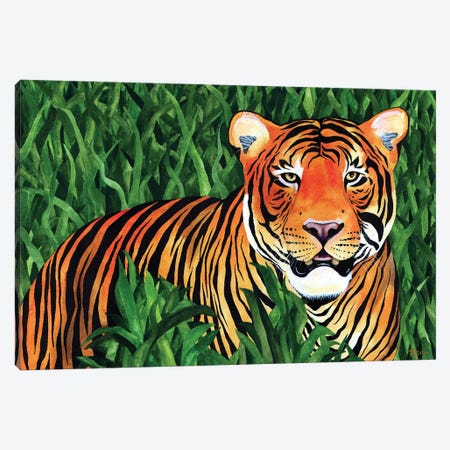Jungle Cat IX Canvas Print #TKH68} by Terri Kelleher Canvas Artwork