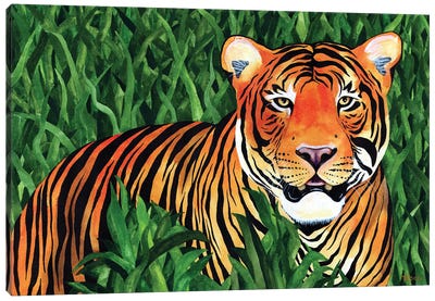 Jungle Cat IX Canvas Art Print - Terri Kelleher