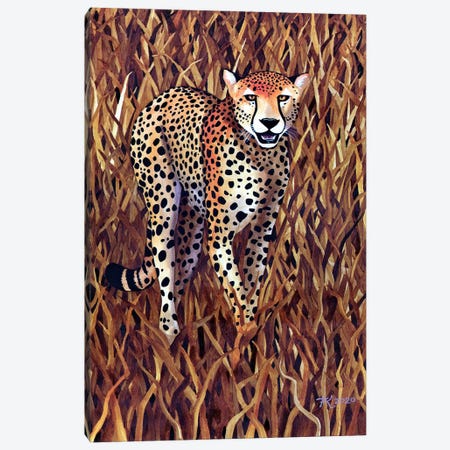 Jungle Cat X Canvas Print #TKH69} by Terri Kelleher Canvas Art