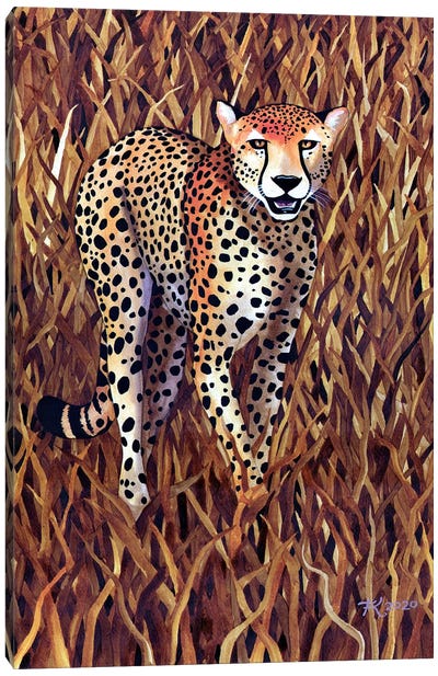 Jungle Cat X Canvas Art Print - Terri Kelleher