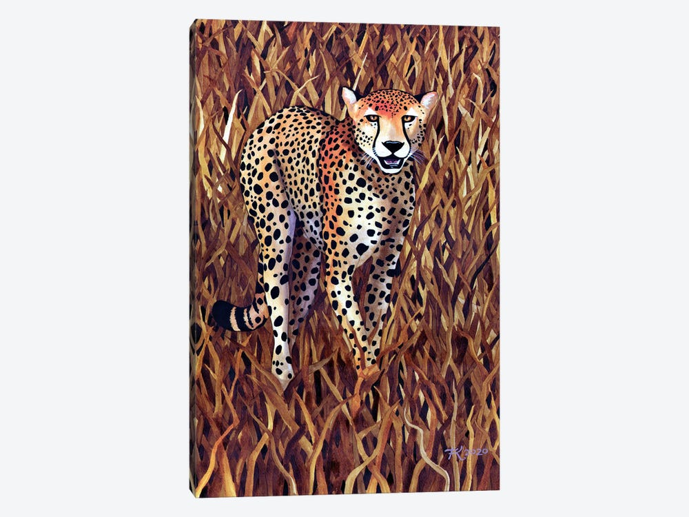 Jungle Cat X by Terri Kelleher 1-piece Canvas Art Print