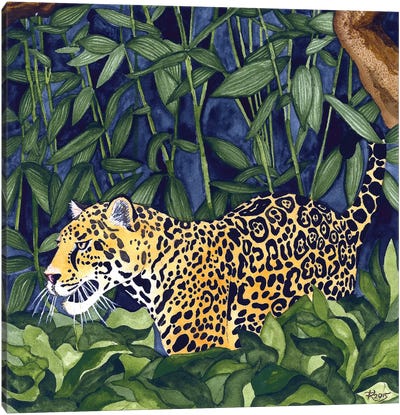 Jungle Cat Canvas Art Print - Jaguar Art