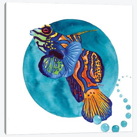 Mandarin Fish Canvas Print #TKH89} by Terri Kelleher Canvas Art