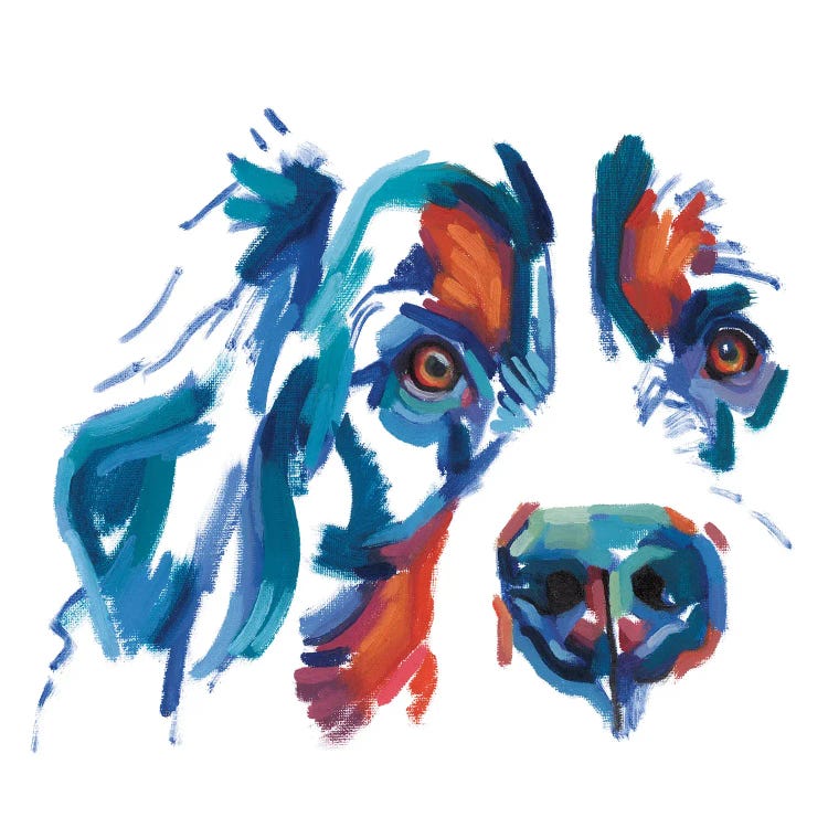 Cocker Spaniel by Andrew Talbot wall art