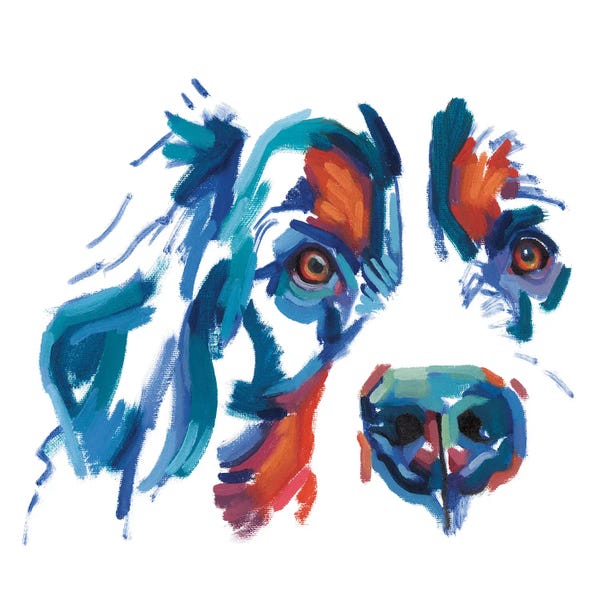 Spaniels: Cocker Spaniel by Andrew Talbot