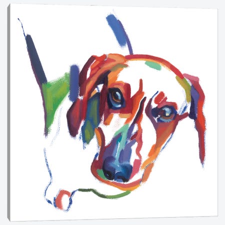 Dachshund Canvas Print #TLB7} by Andrew Talbot Canvas Art