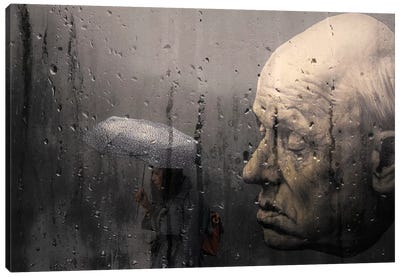 The Head Canvas Art Print - Weather Art