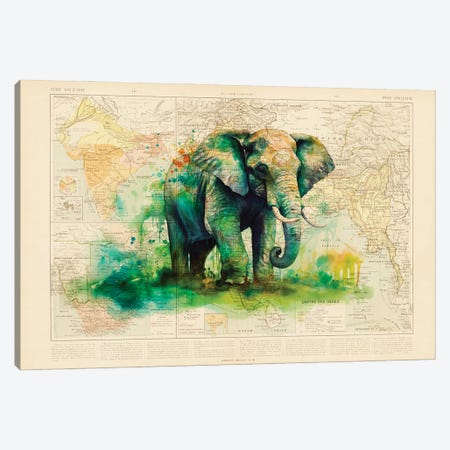 Elephant Canvas Print #TLL128} by TOMADEE Canvas Artwork