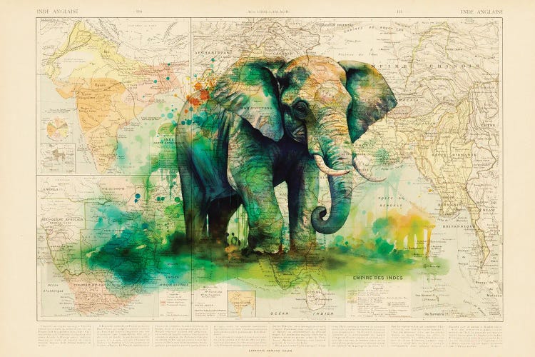 Elephant by TOMADEE wall art