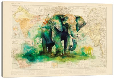 Elephant Canvas Art Print - TOMADEE